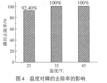 圖4 溫度對磷的去除率的影響